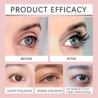 Seed Oil Eyebrow Growth Serum Hair Growth Anti Hairs Loss Prevent Baldness Fuller Thicker  Lengthening Eyebrow Makeup